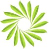 Ridona environmental group